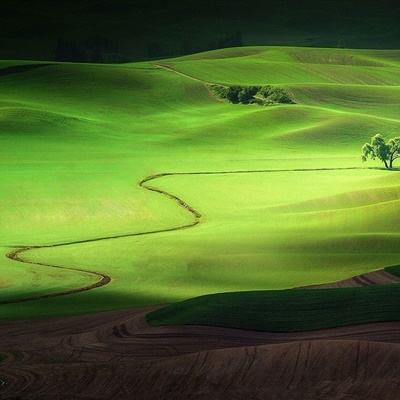 天价外援爆发！5000万欧标王处子球 拉米打爆全北