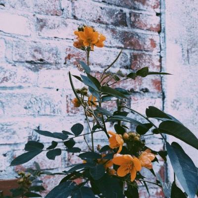 荣科科技：投资者质疑风险敞口影响，董秘称无外汇结算业务